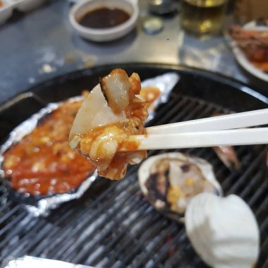 Doğa ve şehir manzarası 