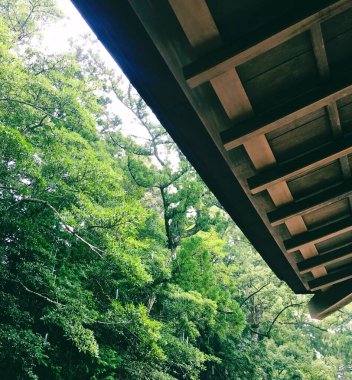 Doğa ve şehir manzarası 