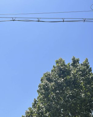 Doğa ve şehir manzarası 