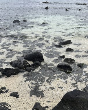 Doğa ve şehir manzarası 