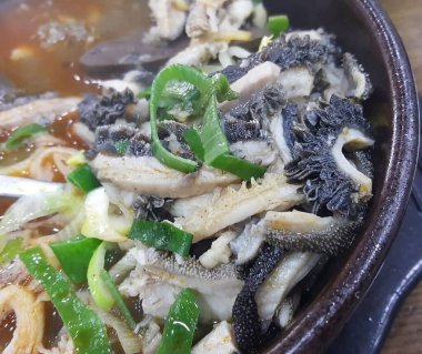 Doğa ve şehir manzarası 