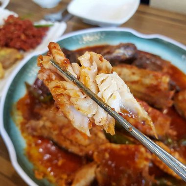 Doğa ve şehir manzarası 