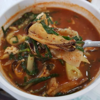 Doğa ve şehir manzarası 