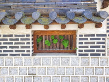 Doğa ve şehir manzarası 