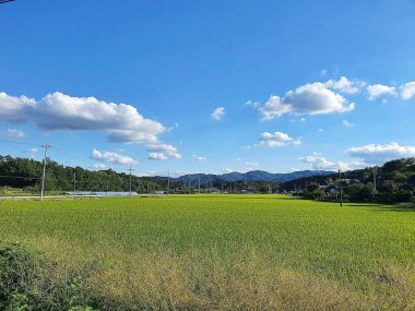 Doğa ve şehir manzarası 