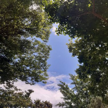 Doğa ve şehir manzarası 