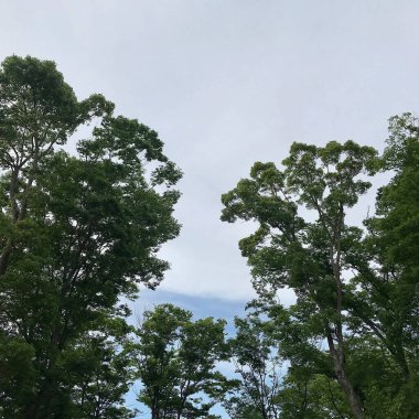 Doğa ve şehir manzarası 