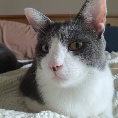 Doğa ve şehir manzarası 