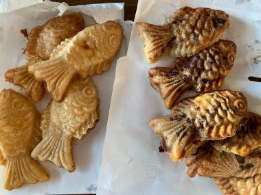 Doğa ve şehir manzarası 