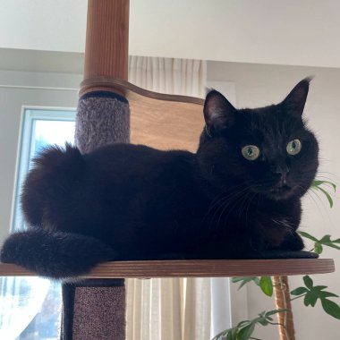 Doğa ve şehir manzarası 