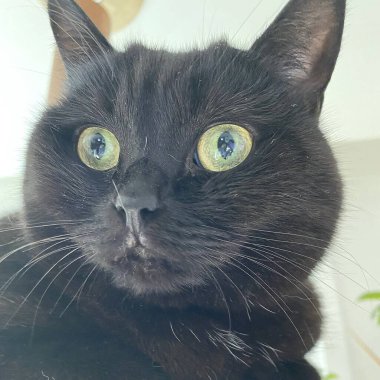 Doğa ve şehir manzarası 