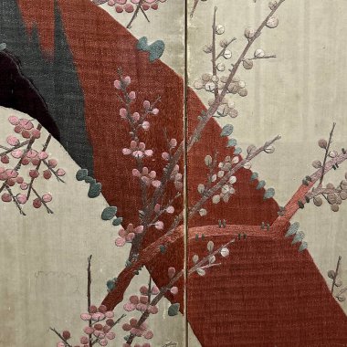 Doğa ve şehir manzarası 