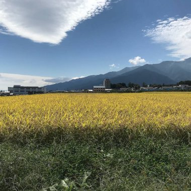 Doğa ve şehir manzarası 