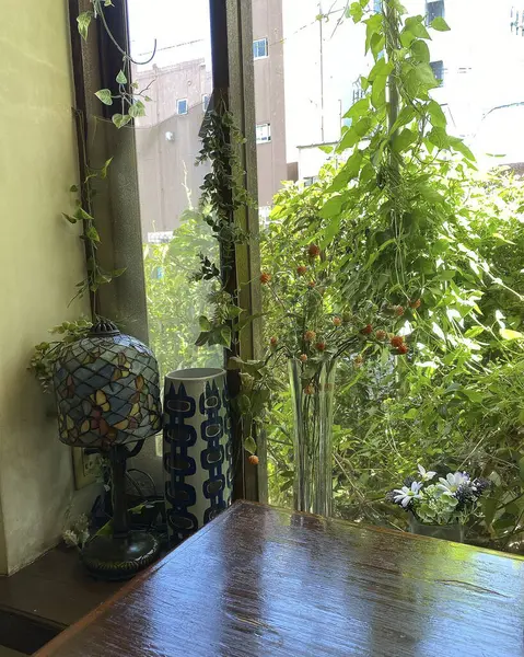 Doğa ve şehir manzarası 