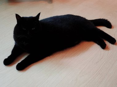 Doğa ve şehir manzarası 