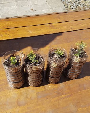 Doğa ve şehir manzarası 