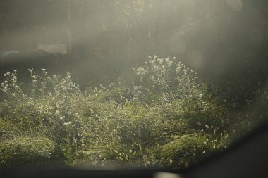 Doğa ve şehir manzarası 