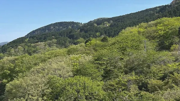 Doğa ve şehir manzarası 