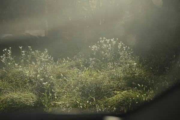 Doğa ve şehir manzarası 