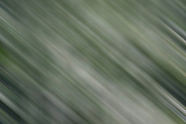 Renklerin soyut hareket bulanık arkaplanı