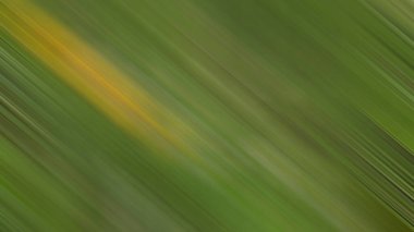 Renklerin soyut hareket bulanık arkaplanı