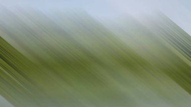 Renklerin soyut hareket bulanık arkaplanı