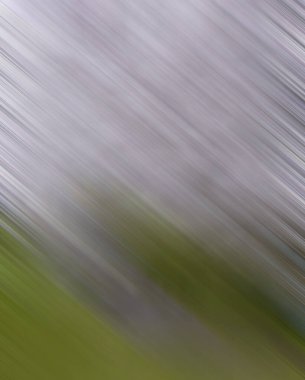 Renklerin soyut hareket bulanık arkaplanı