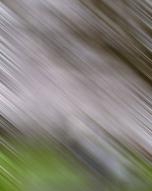 Renklerin soyut hareket bulanık arkaplanı