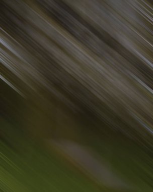 Renklerin soyut hareket bulanık arkaplanı