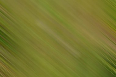 Renklerin soyut hareket bulanık arkaplanı