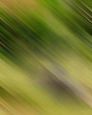 Renklerin soyut hareket bulanık arkaplanı