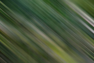 Renklerin soyut hareket bulanık arkaplanı