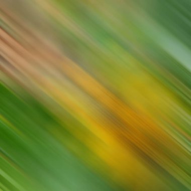 Renklerin soyut hareket bulanık arkaplanı