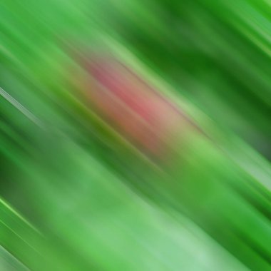 Renklerin soyut hareket bulanık arkaplanı