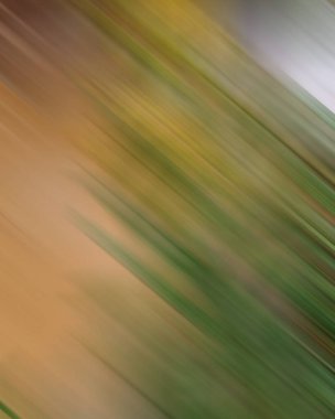 Renklerin soyut hareket bulanık arkaplanı