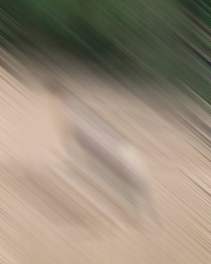 Renklerin soyut hareket bulanık arkaplanı