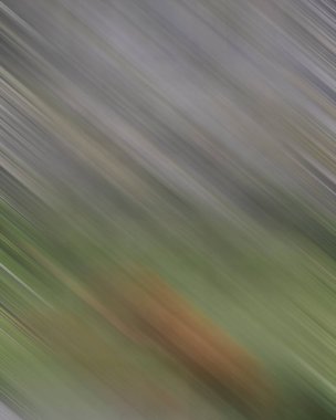 Renklerin soyut hareket bulanık arkaplanı