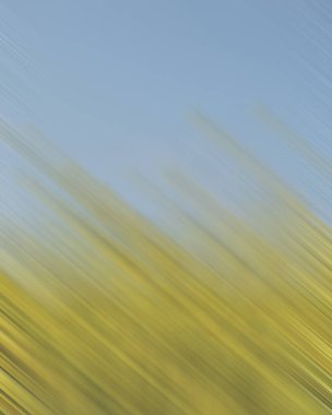 Renklerin soyut hareket bulanık arkaplanı