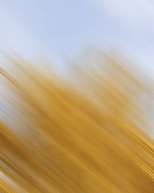 Renklerin soyut hareket bulanık arkaplanı