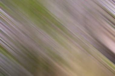 Renklerin soyut hareket bulanık arkaplanı