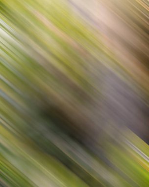 Renklerin soyut hareket bulanık arkaplanı