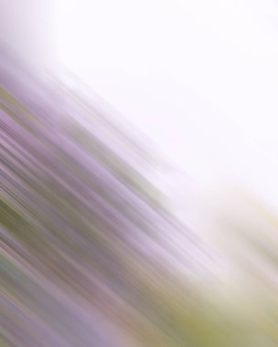 Renklerin soyut hareket bulanık arkaplanı