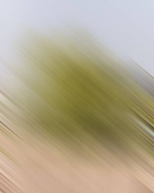 Renklerin soyut hareket bulanık arkaplanı