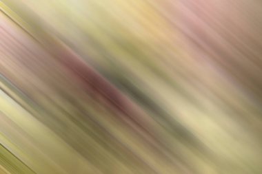 Renklerin soyut hareket bulanık arkaplanı