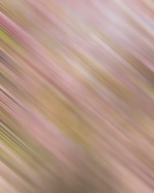 Renklerin soyut hareket bulanık arkaplanı