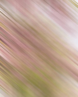 Renklerin soyut hareket bulanık arkaplanı