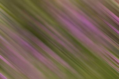 Renklerin soyut hareket bulanık arkaplanı