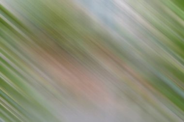 Renklerin soyut hareket bulanık arkaplanı