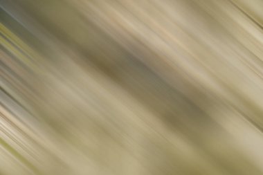 Renklerin soyut hareket bulanık arkaplanı