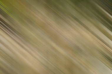 Renklerin soyut hareket bulanık arkaplanı